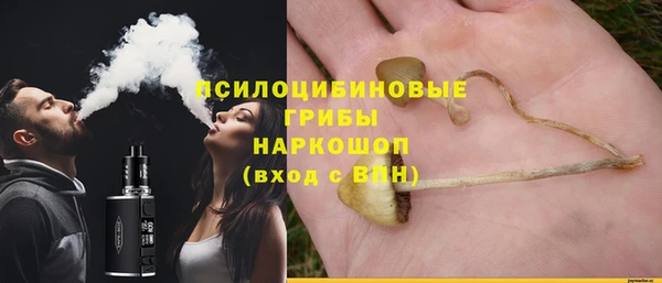 ГАЛЛЮЦИНОГЕННЫЕ ГРИБЫ Арсеньев