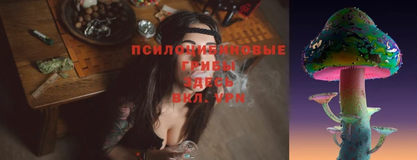 spice Аркадак