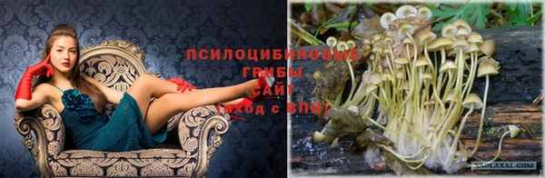 spice Аркадак