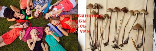 крисы Алексин