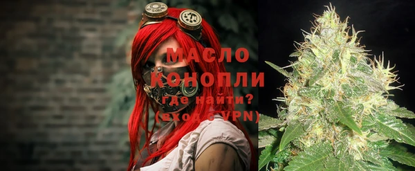 индика Пересвет