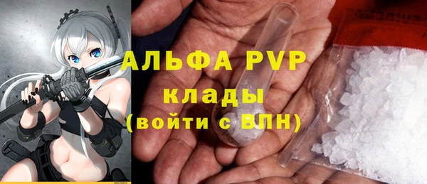 spice Аркадак