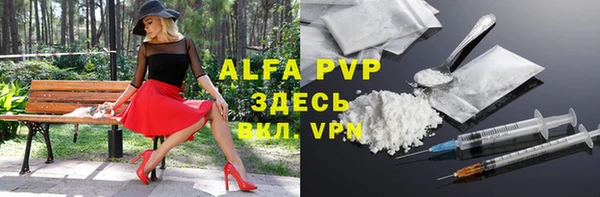 spice Аркадак
